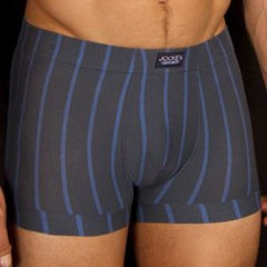 M00529